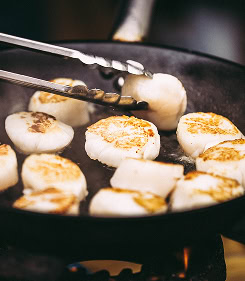 Cooking scallops in a hot skillet for a perfect sear.